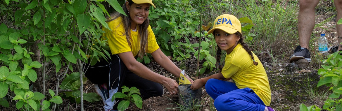Epanos y comunidad realizaron reforestación en el Casupo