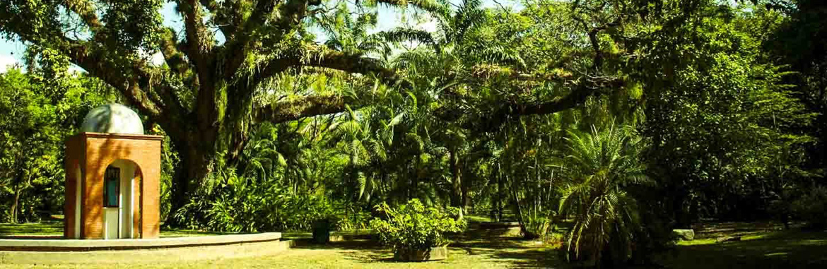 Sensibilización ambiental - Jardín Botánico de Naguanagua 