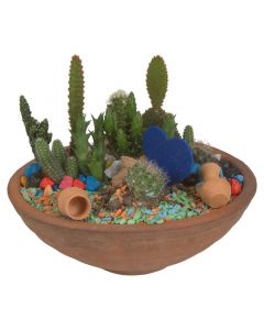 Planta mini jardín zen de cactus #02