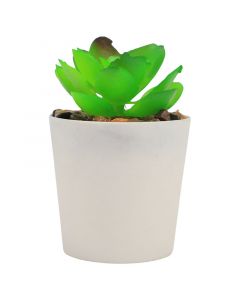 Planta artificial árbol de jade verde 9,5 x 7,5 cm