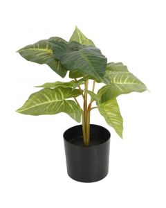 Planta artificial alocasia verde 60 x 37 cm