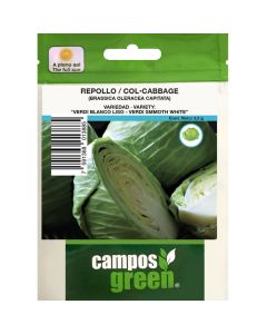 Semillas de repollo-col / variedad: verdi blanco liso