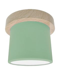 Lámpara led tipo plafón cilíndrico moderno verde menta y madera 1 luz 03053