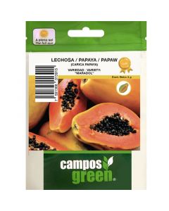 Semillas de lechosa-papaya / variedad: maradol