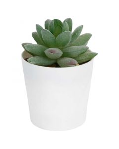 Planta artificial sedum verde 9,5 x 7,5 cm